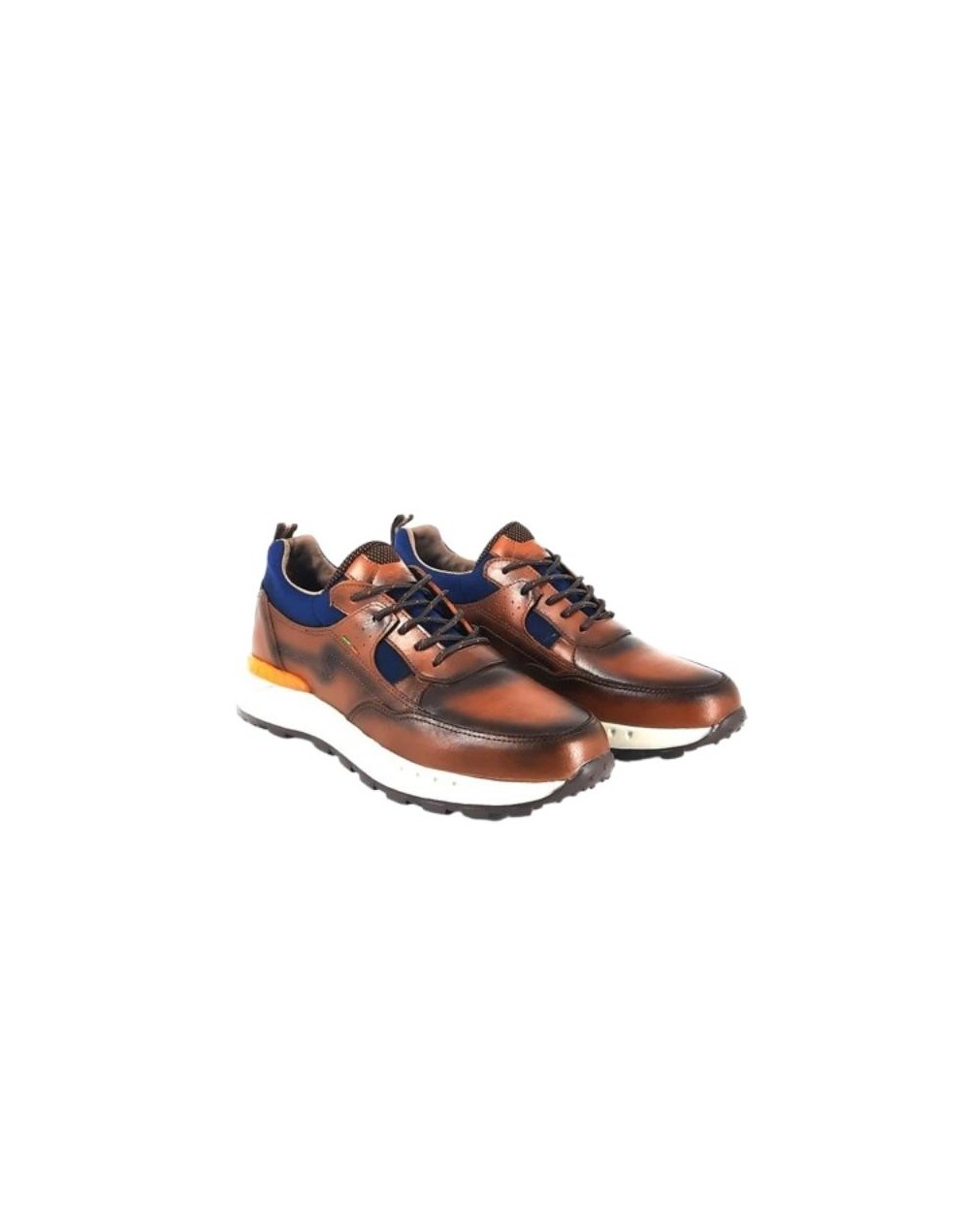 Zapatos San Polos Sneakers Hombre 3685 Miel