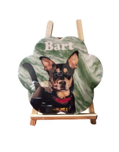 Cuadro Personalizado de Resina Macotas 31x29