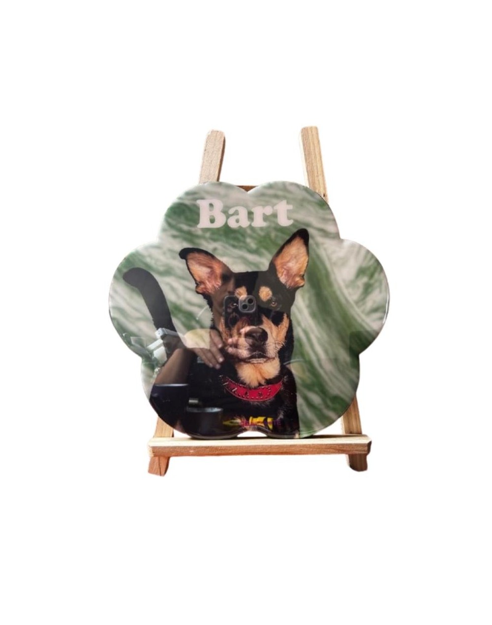 Cuadro Personalizado de Resina Macotas 31x29