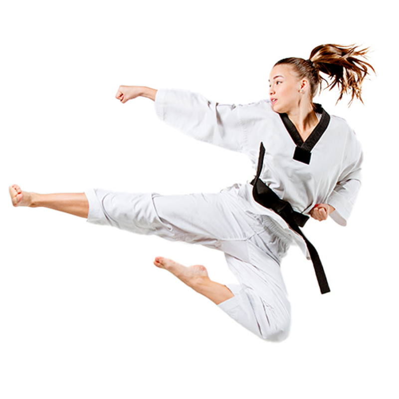 Taekwondo- sede terreros