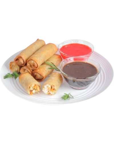 Spring Rolls Mix de Pollo y Vegetales