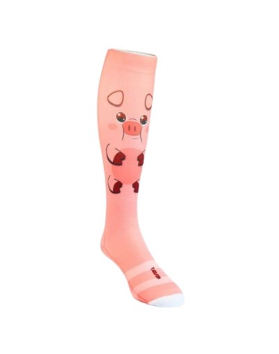 B10 DISEÑO CERDITO ML