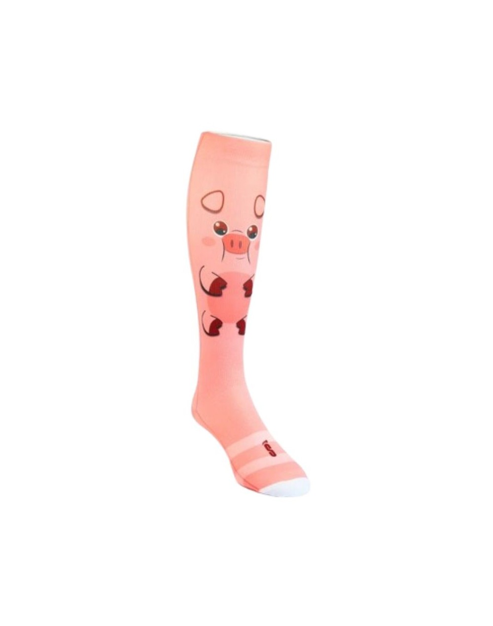 B10 DISEÑO CERDITO ML