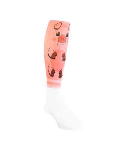 B10 DISEÑO CERDITO MP