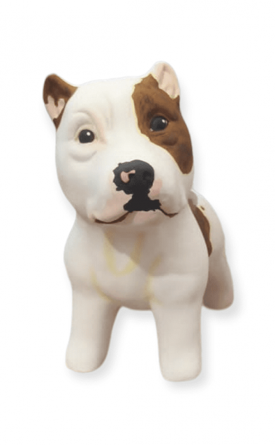Personalización de mascotas en materas de 20cm