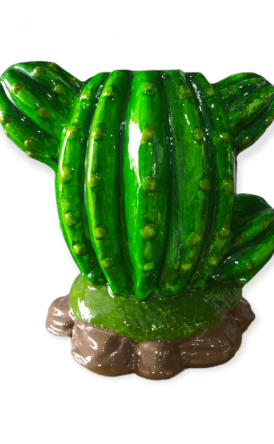 Matera cactus