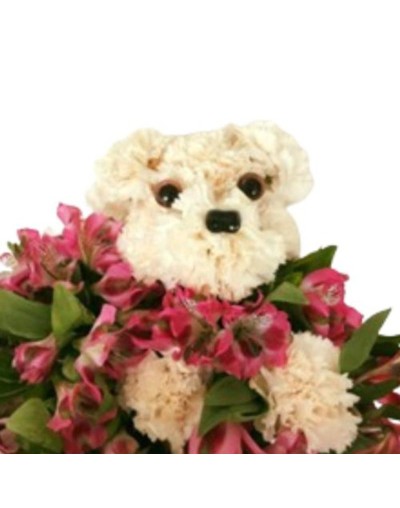 Arreglos Florales Pet Lovers de Diseño. AMARELA FLORAL
