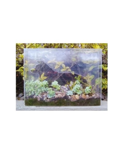 Terrarios PetLovers de Diseño AMARELA FLORAL
