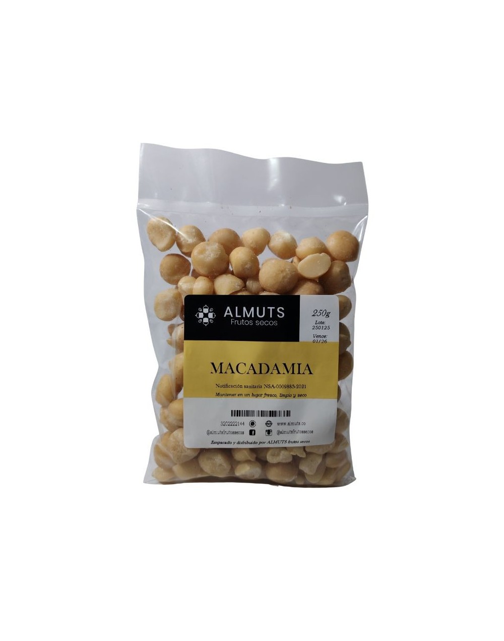 Macadamia