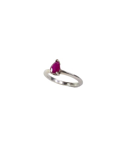 Anillo Raiz espiritual