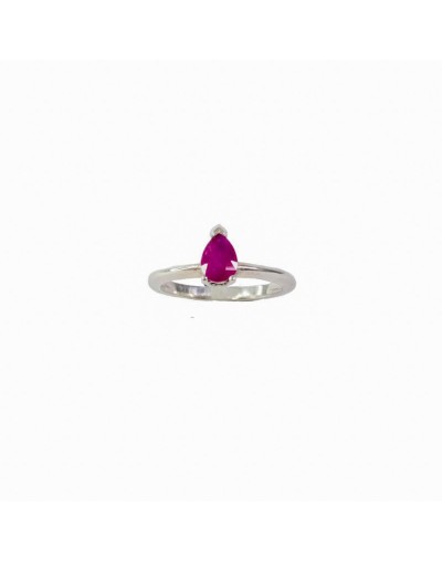 Anillo Raiz espiritual
