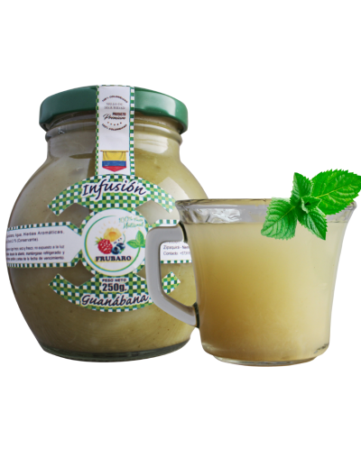 Infusión de Guanábana