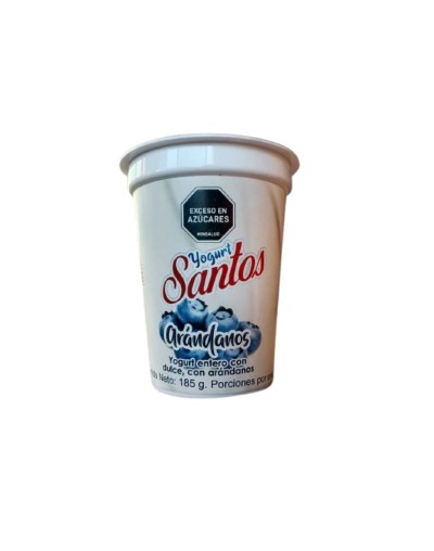 Yogurt artesanal bebible Santos 185g