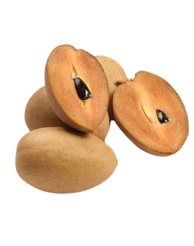 Níspero