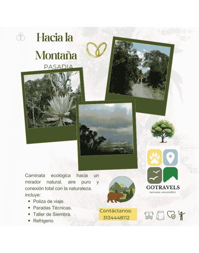 HACIA LA MONTAÑA