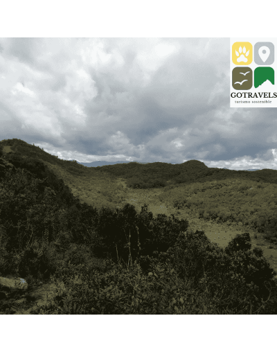 HACIA LA MONTAÑA