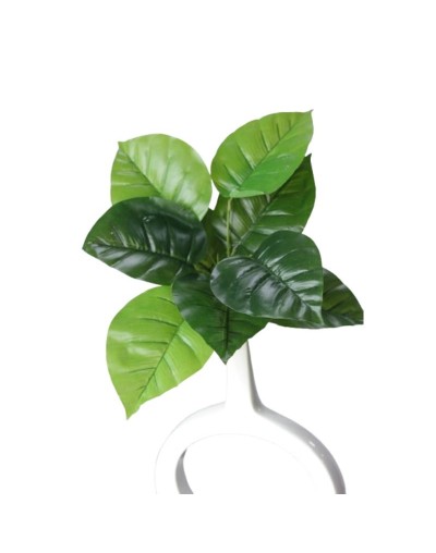 Ramo Planta