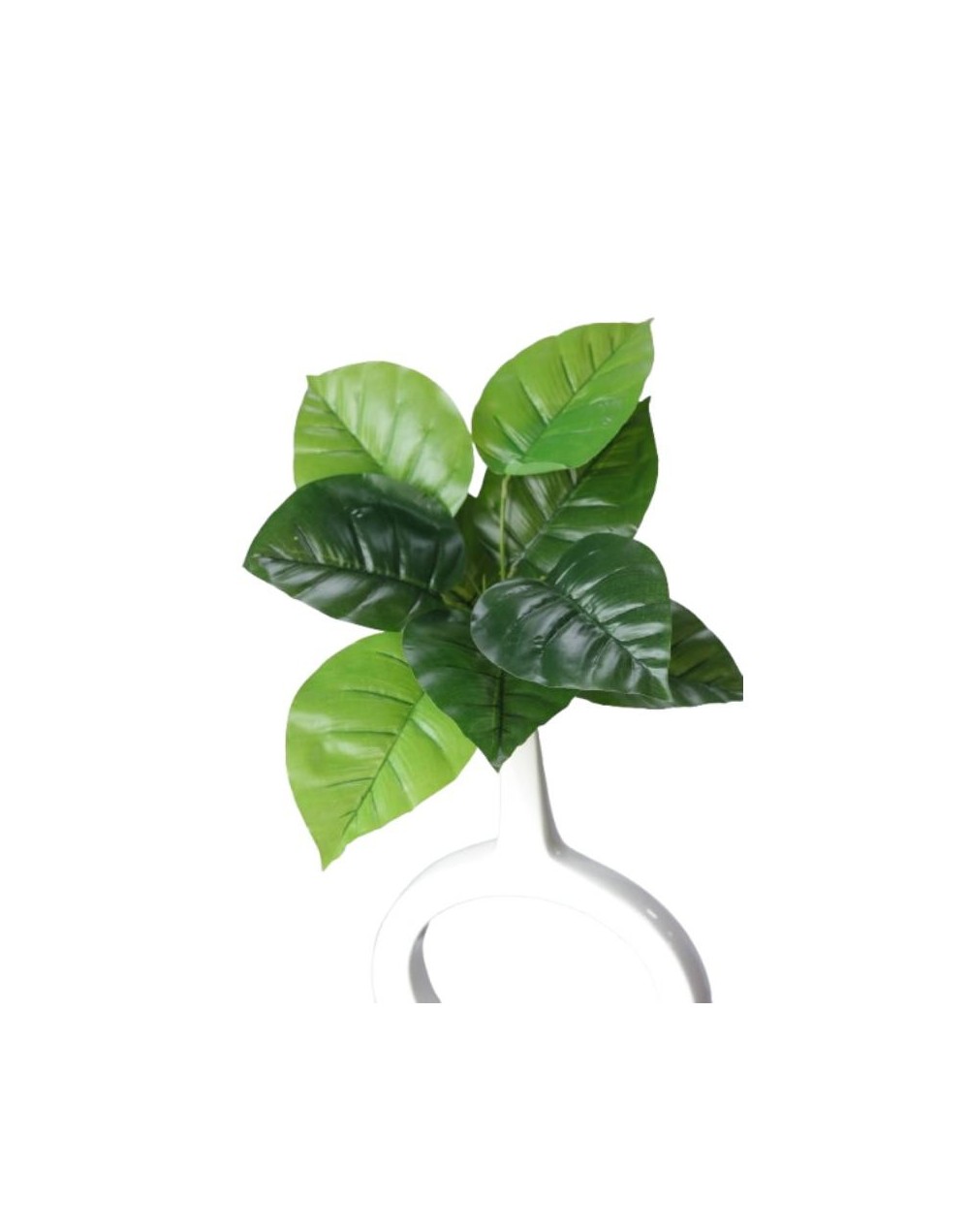 Ramo Planta