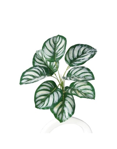 Ramo Planta