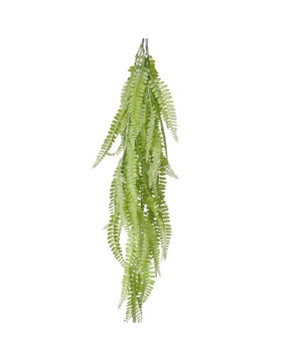 Planta Helecho de Boston – Verde Claro