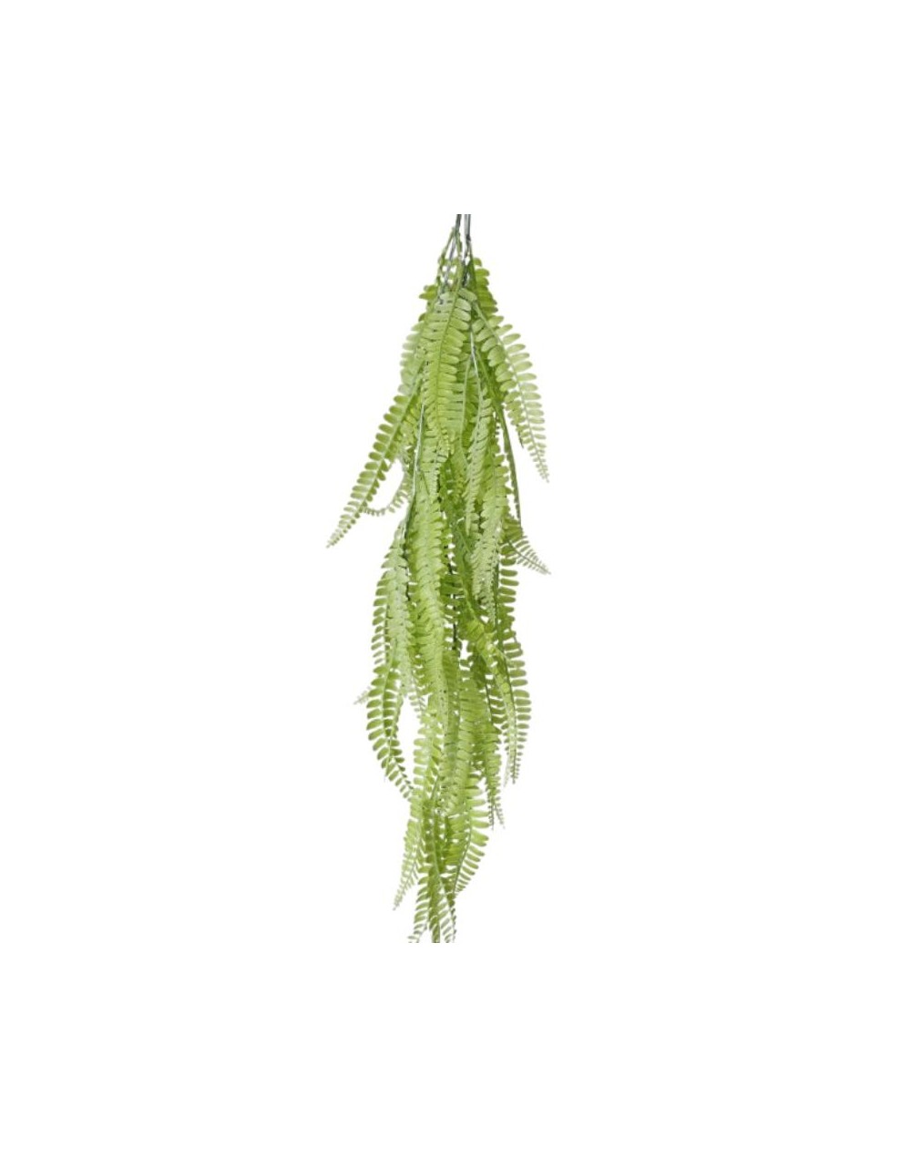 Planta Helecho de Boston – Verde Claro