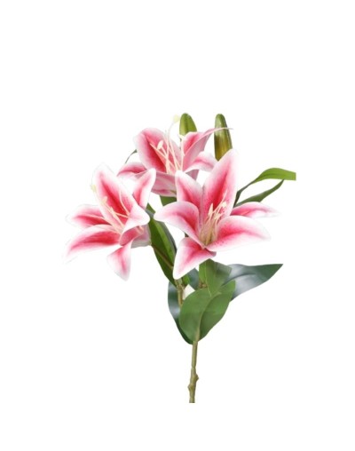 Vara Lirio por 3 – Fucsia