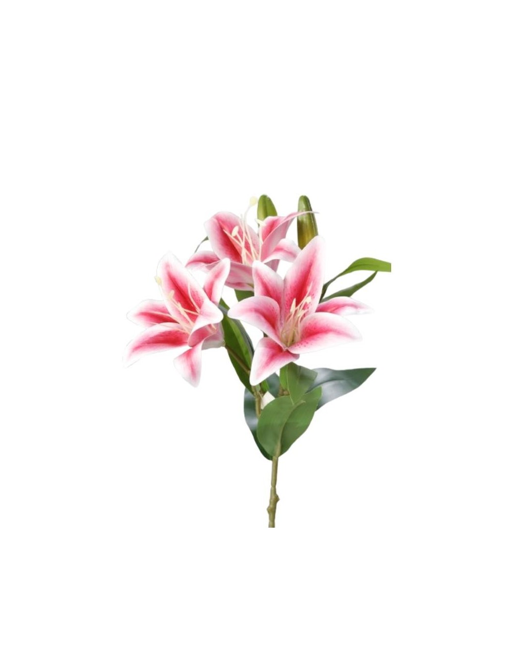 Vara Lirio por 3 – Fucsia