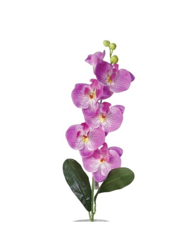 Vara Orquidea