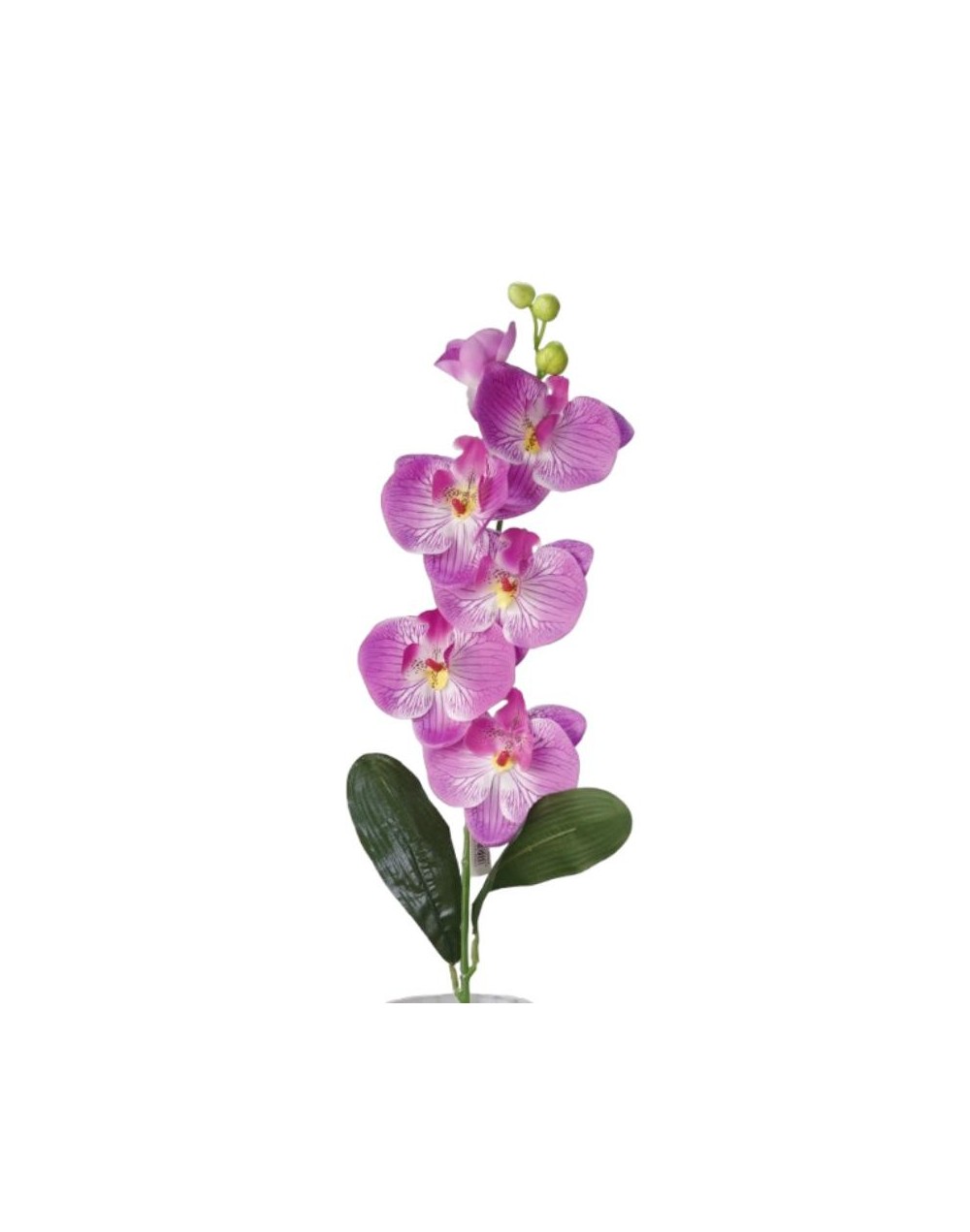 Vara Orquidea
