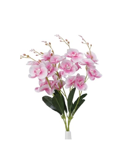 Orquídea por 5