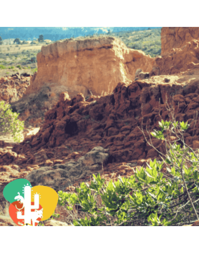 VAMOS A DESIERTO