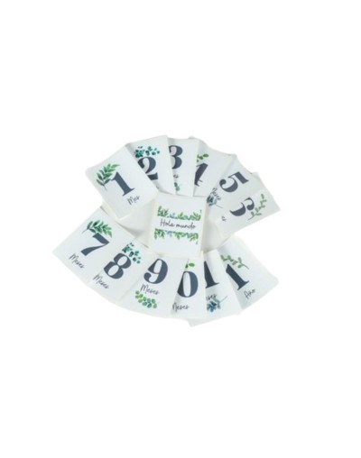 Stickers Unisex Mes a Mes - Primer Año del Bebé