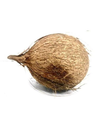 COCO CARNUDO 