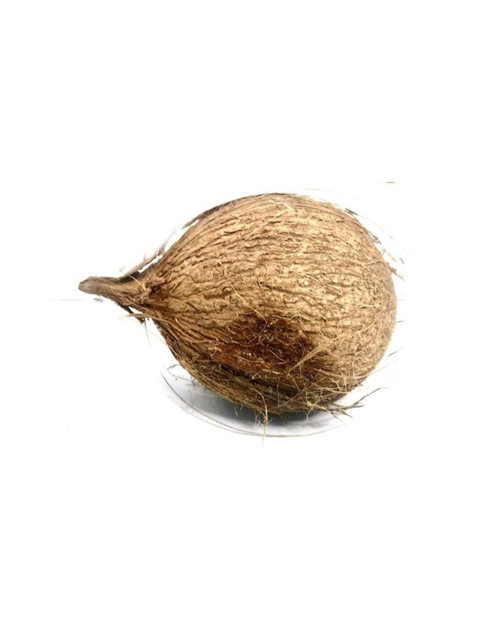 COCO CARNUDO 