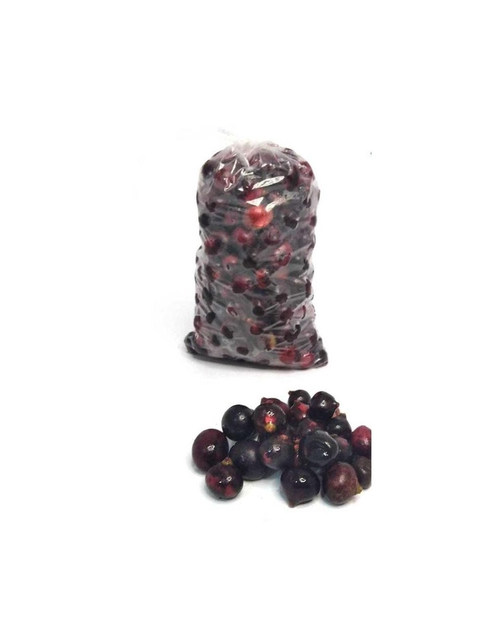 COROZO 