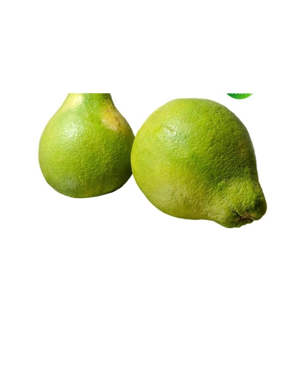 POMELO