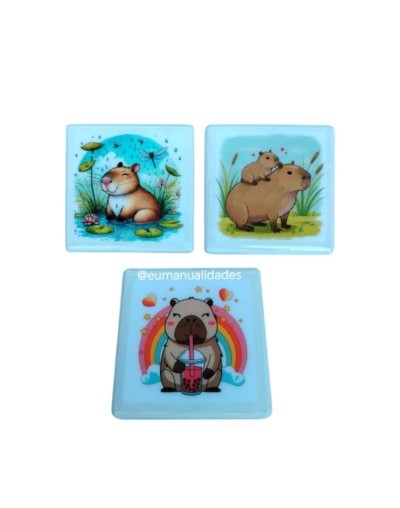 Caja mini capibara