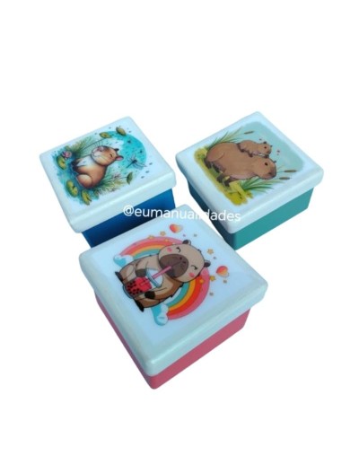 Caja mini capibara