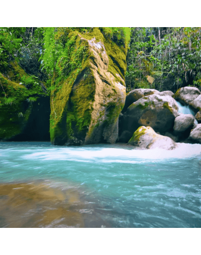 Monterrey: la naturaleza del piedemonte llanero