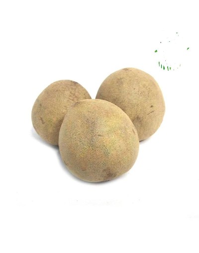 BOLITAS DE CHOCOLATE COSTEÑAS7 CACAO X 6 UNIDADES 