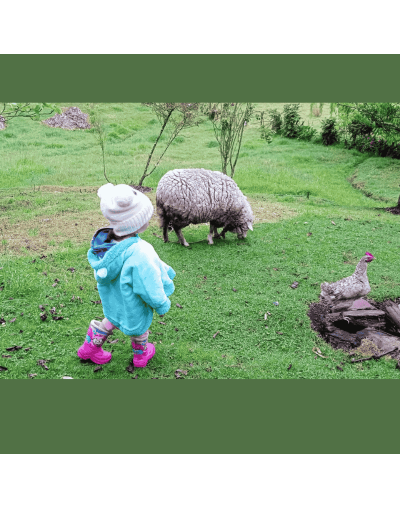 Campesinos por un día