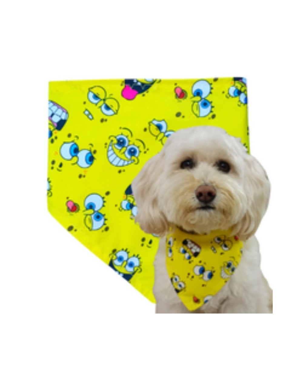 Pañoleta Bob Esponja XXS a L