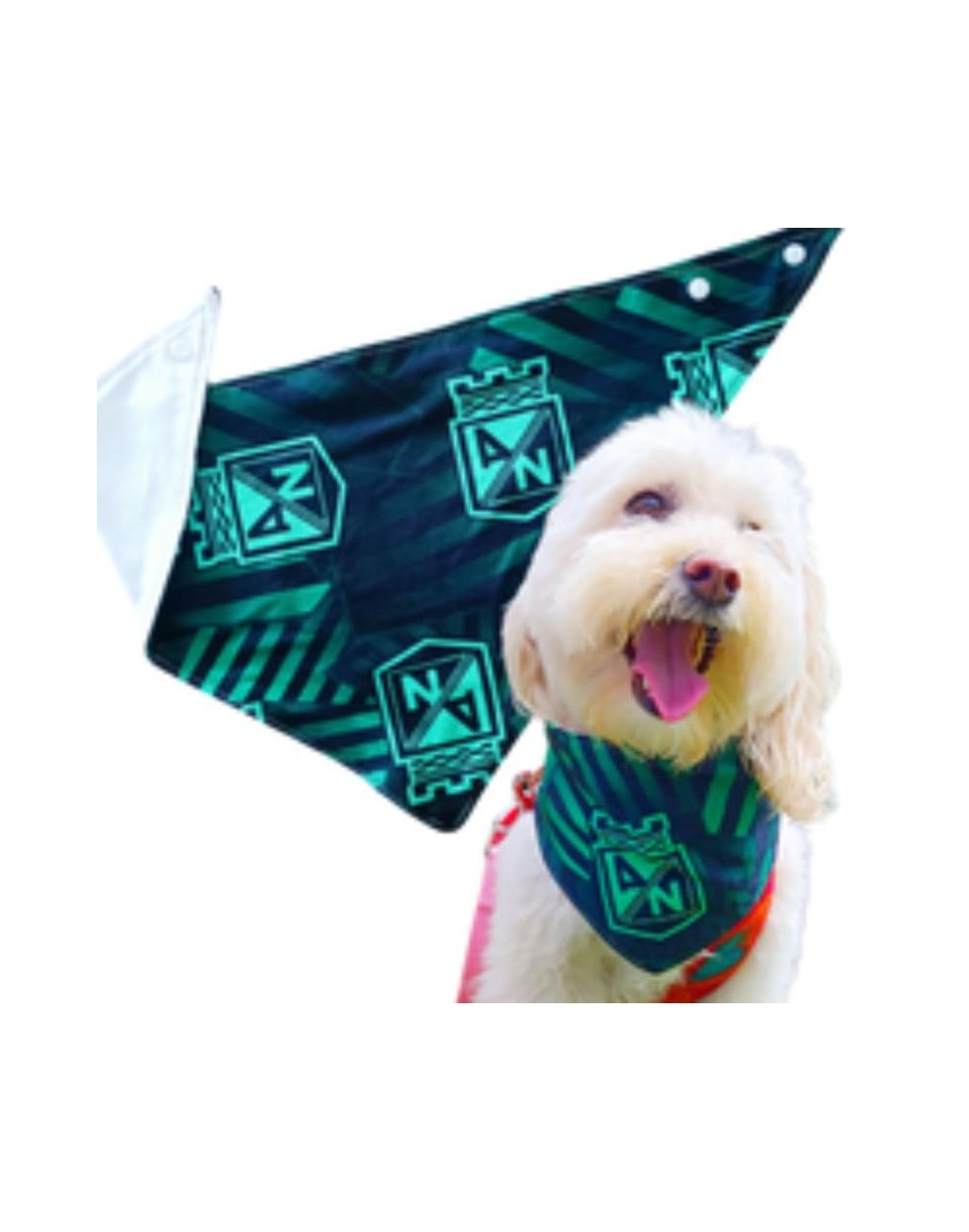 Pañoleta Atlético Nacional Ultimas unidades XXS a L