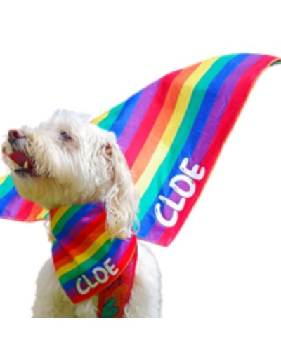 Pañoleta edicion pride Ultimas Unidades XXS a L