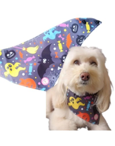 Pañoletas halloween