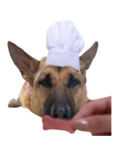 Gorro Chef Pet Talla unica