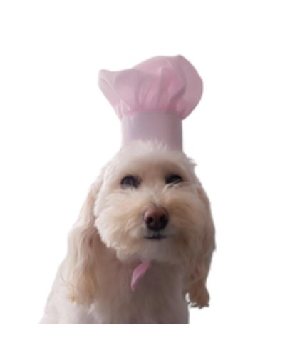 Gorro Chef Pet Talla unica