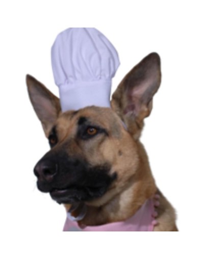 Gorro Chef Pet Talla unica