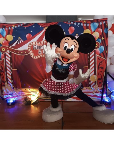 SHOWS MUSICALES DISNEY