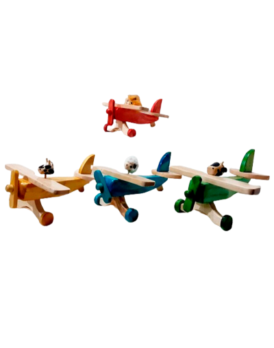 Avioneta